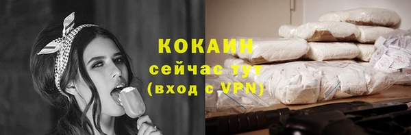молекула духа Каменка
