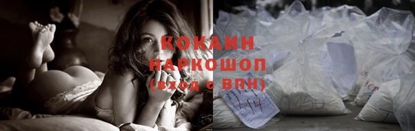 молекула духа Каменка