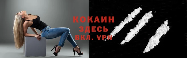 молекула духа Каменка