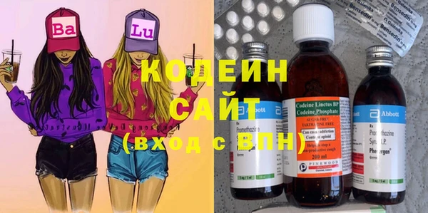 молекула духа Каменка